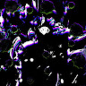 Meet your Posher, Ashaz